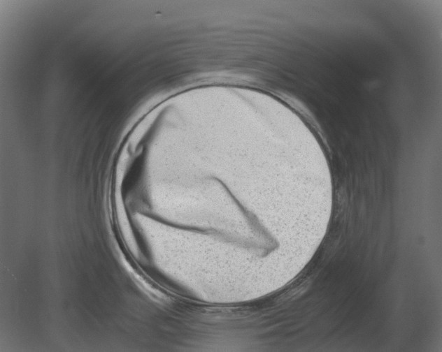 X0000080711391200701121806