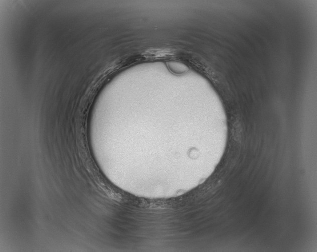 X0000080711393200701121805