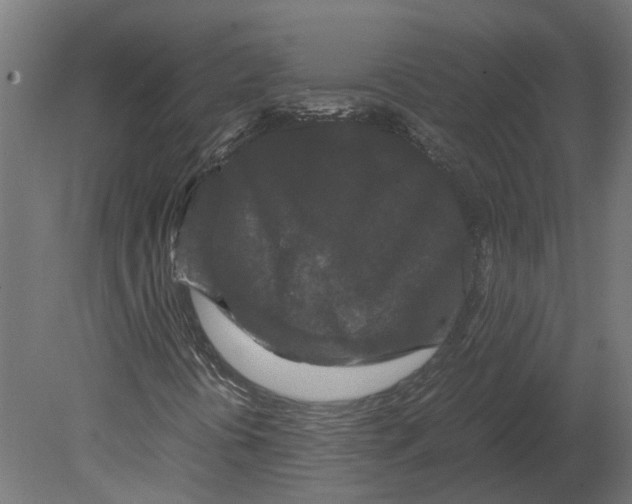 X0000080711394200701121805