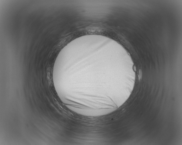 X0000080711396200701121805