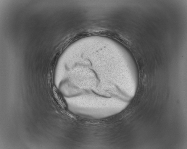 X0000080711397200701121805