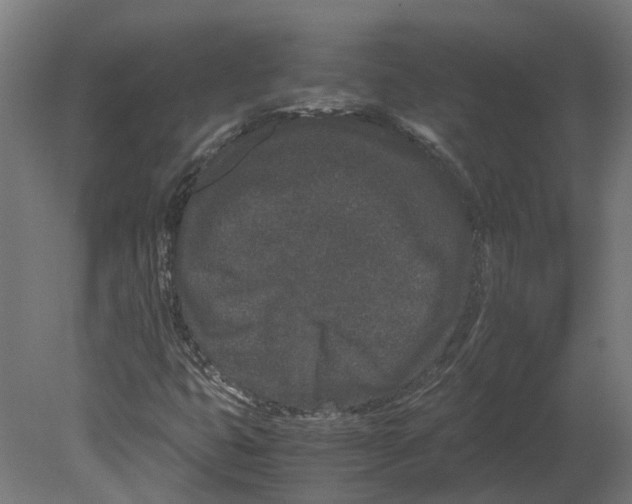 X0000080711399200701121805