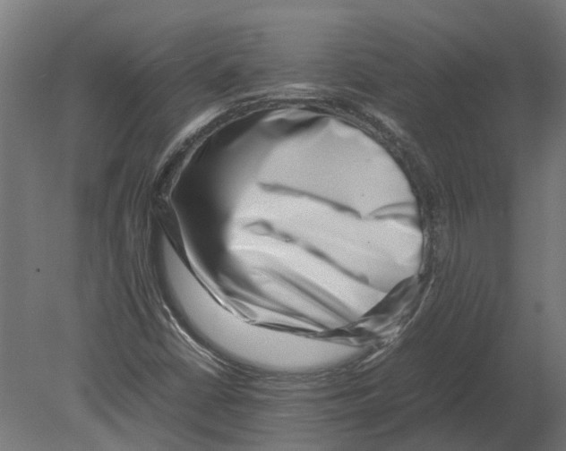 X0000080711402200701121805