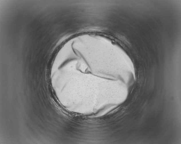 X0000080711404200701121805