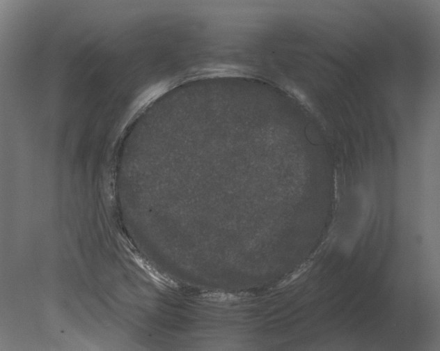 X0000080711405200701121805