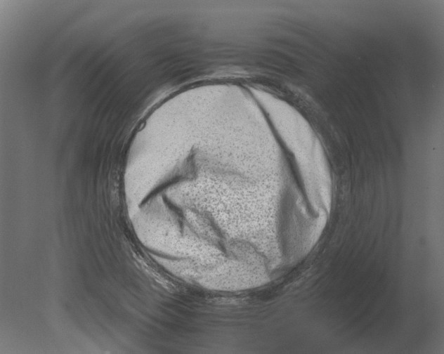 X0000080711409200701121805