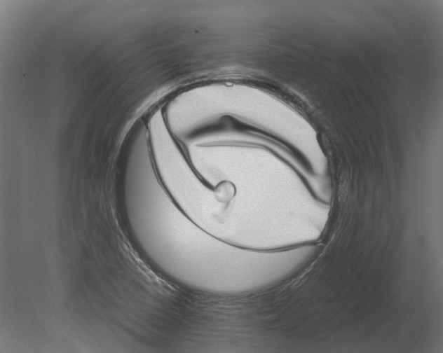 X0000080711410200701121805