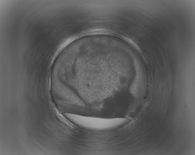 X0000080711413200701121805