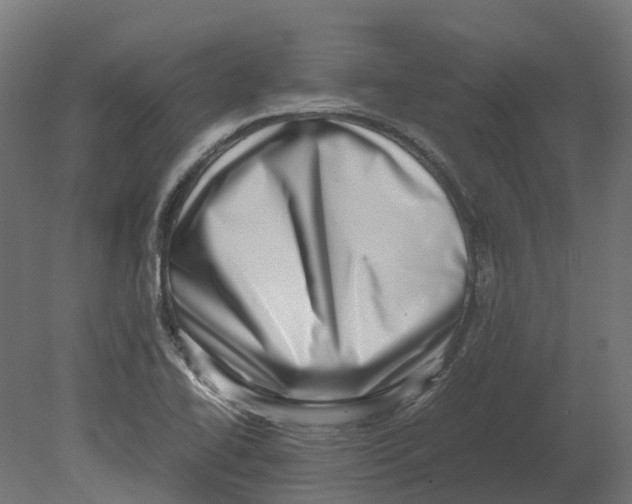 X0000080711414200701121805