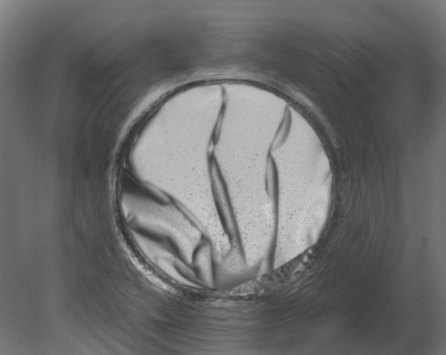 X0000080711416200701121805