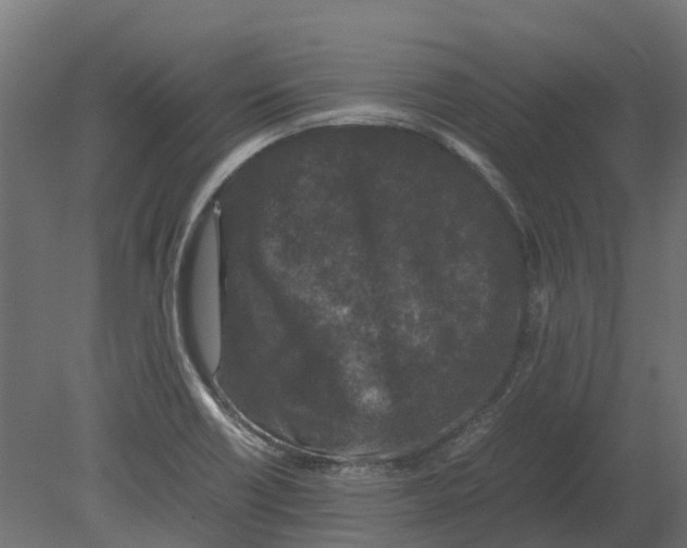 X0000080711418200701121805