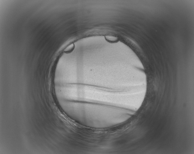 X0000080711419200701121805