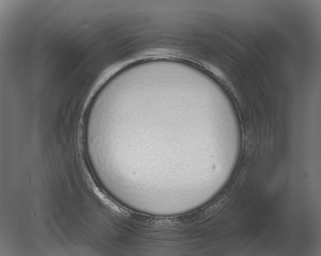 X0000080711421200701121805