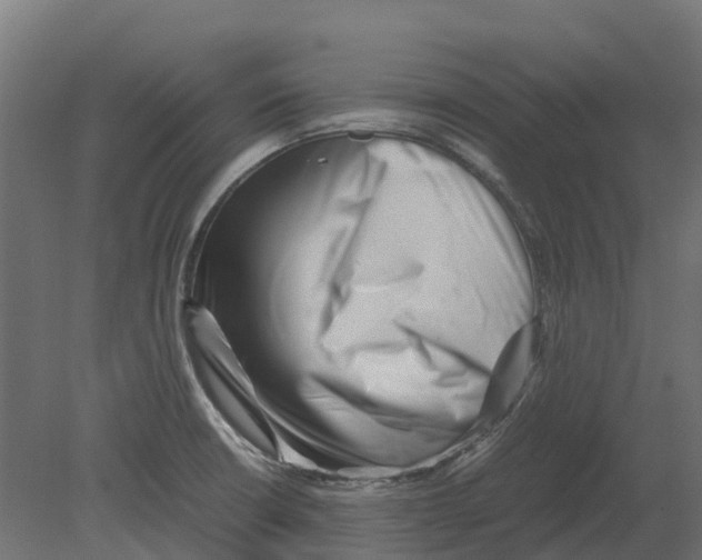 X0000080711426200701121806