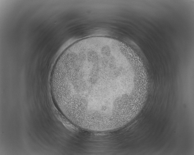 X0000080711427200701121806