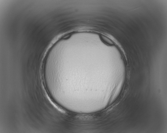 X0000080711429200701121806