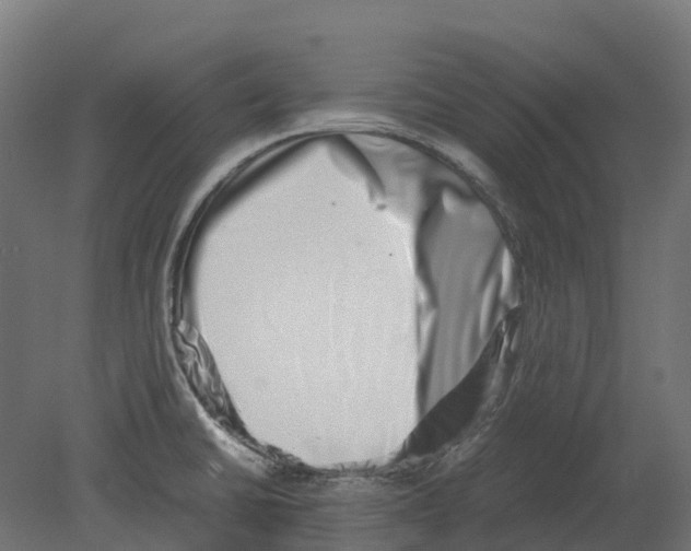 X0000080711430200701121806