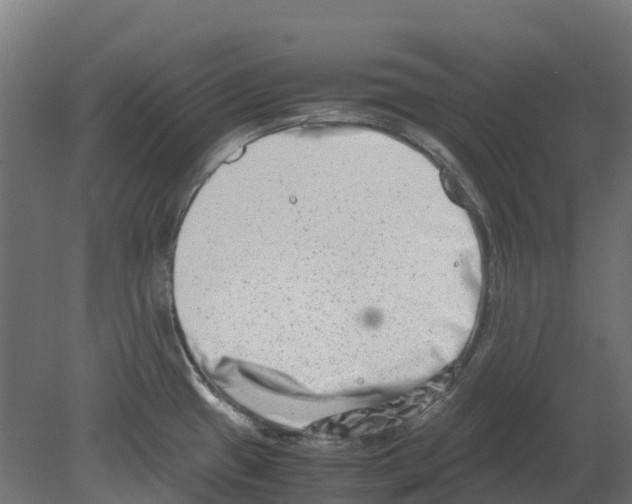 X0000080711433200701121806