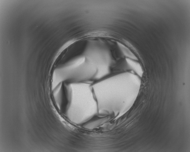 X0000080711434200701121806