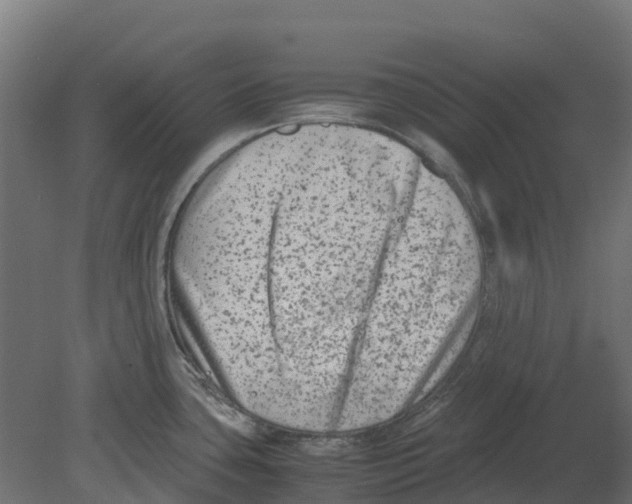 X0000080711435200701121806