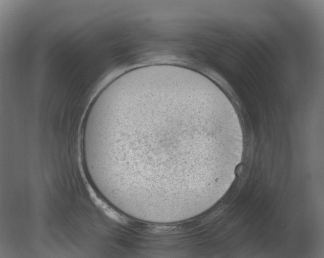 X0000080711439200701121806