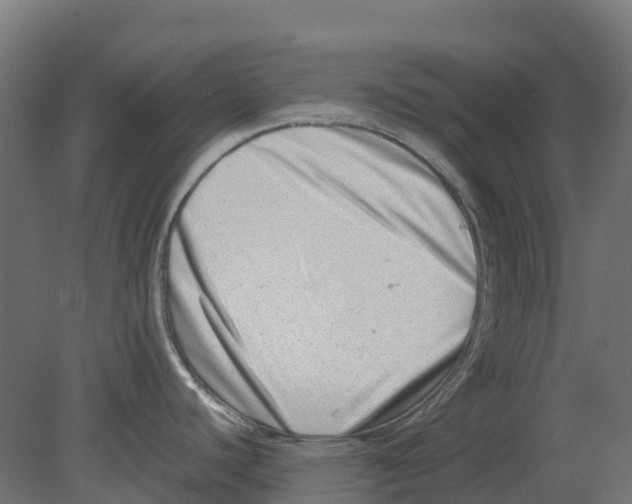 X0000080711440200701121806