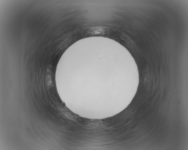 X0000080711442200701121805