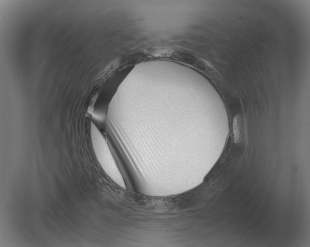 X0000080711443200701121805