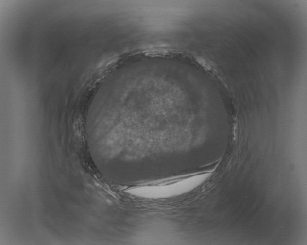 X0000080711445200701121805