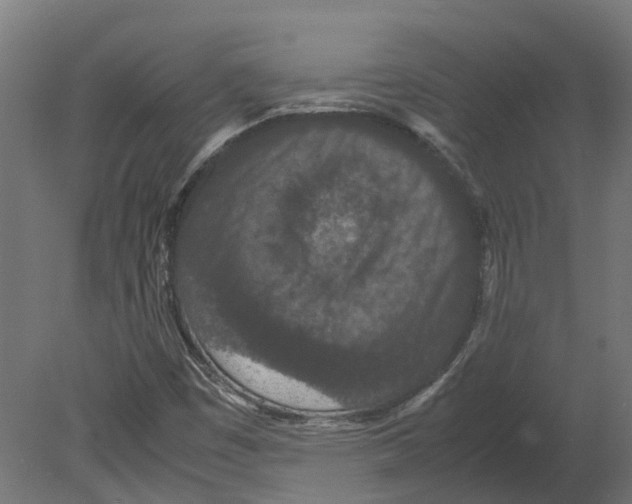 X0000080711449200701121805