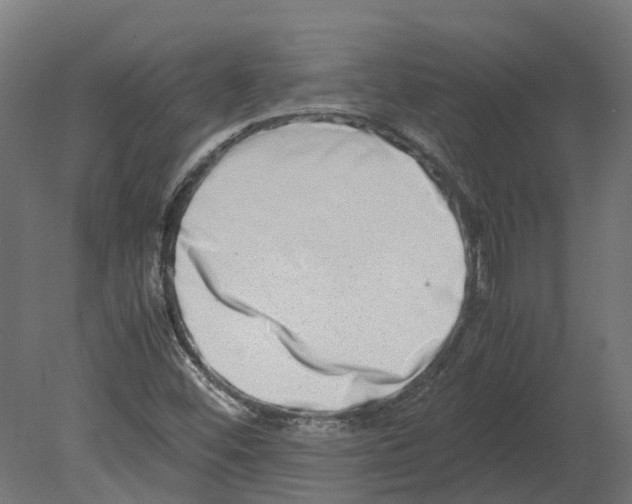 X0000080711452200701121805