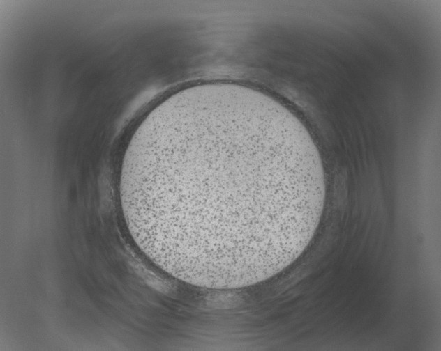 X0000080711454200701121805