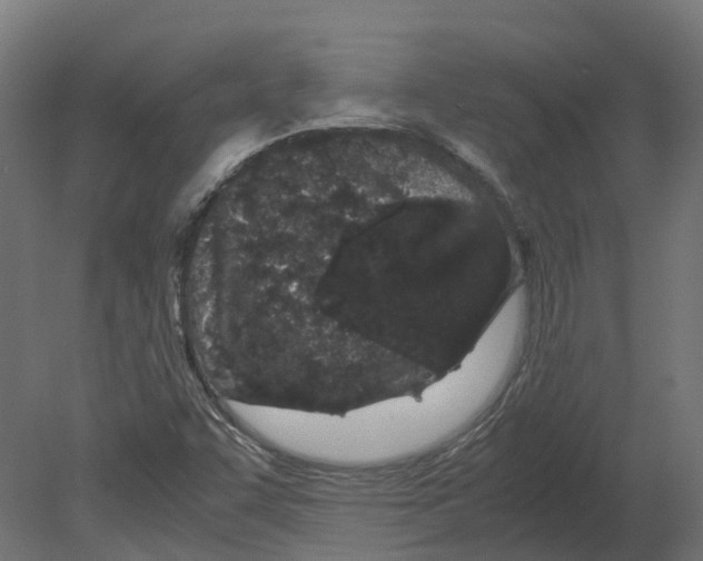 X0000080711455200701121805