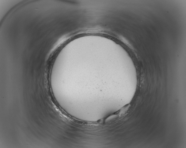 X0000080711456200701121805