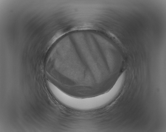 X0000080711457200701121805