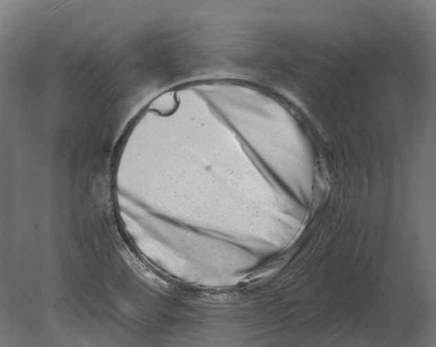 X0000080711460200701121805