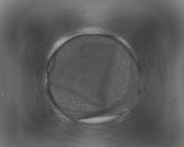 X0000080711461200701121805