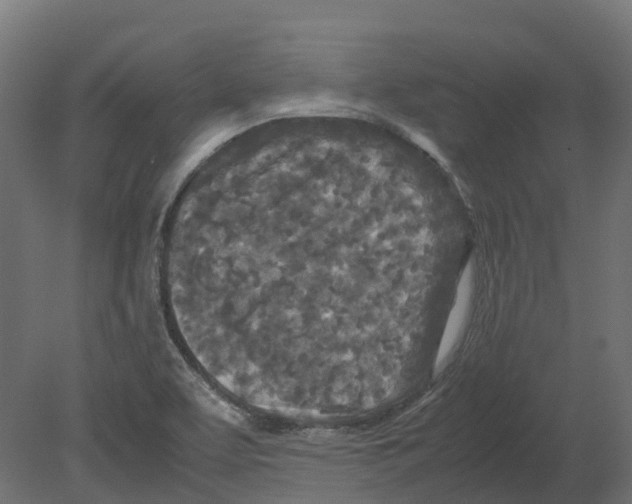 X0000080711463200701121805