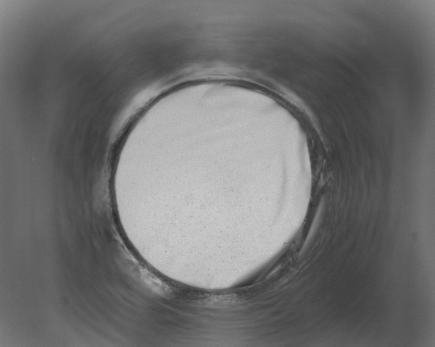 X0000080711464200701121805