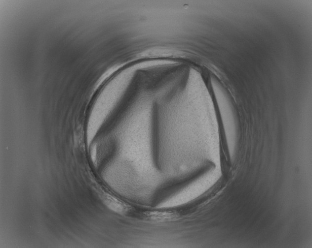 X0000080711465200701121805