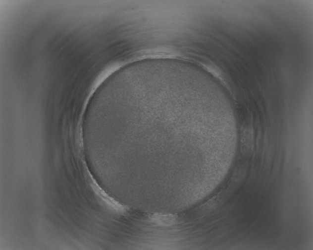 X0000080711466200701121805