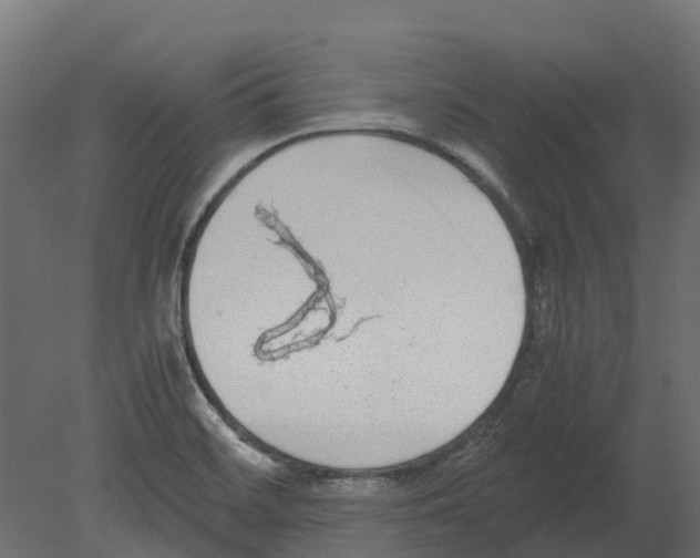 X0000080711468200701121805