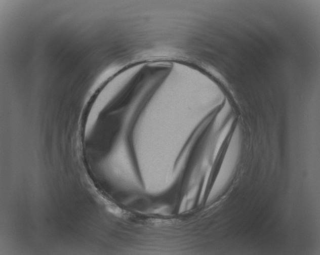 X0000080711469200701121805