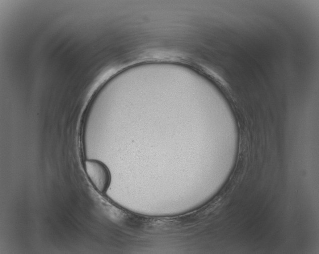 X0000080711471200701121804