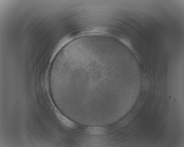 X0000080711474200701121804