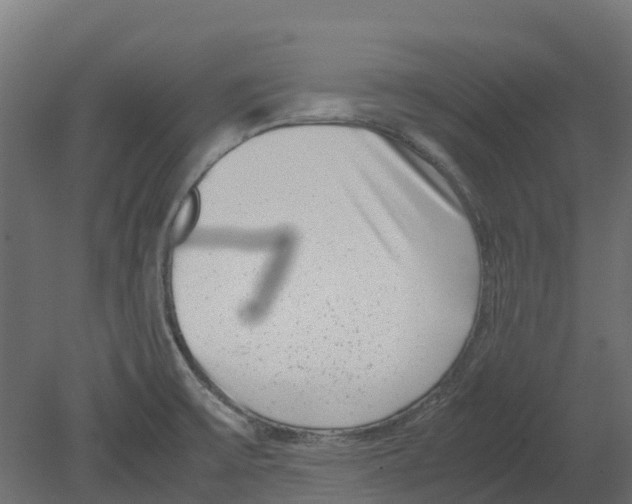 X0000080711475200701121804