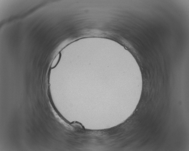 X0000080711479200701121804