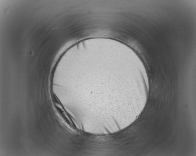 X0000080711480200701121804