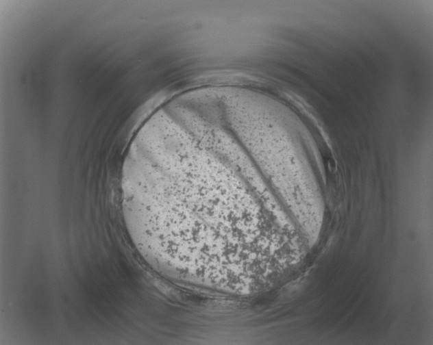 X0000080711481200701121804