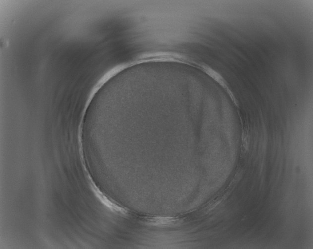 X0000080711482200701121804